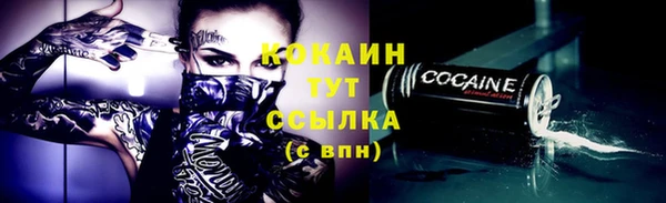 ГАЛЛЮЦИНОГЕННЫЕ ГРИБЫ Елизово