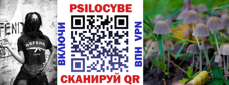 Купить  Анадырь  Псилоцибиновые грибы Psilocybe 